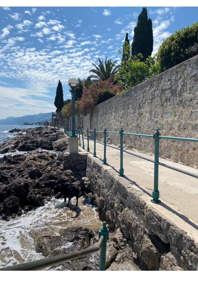 Secret Hideaway In The Volosko Old Town Opatija Eksteriør bilde