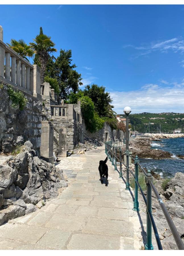 Secret Hideaway In The Volosko Old Town Opatija Eksteriør bilde